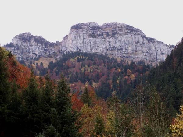 Gîte de France N°303010 (Grand montoir)
